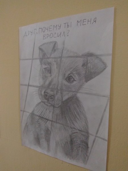 Бездомные животные рисунки