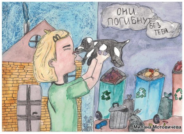 Рисунок на тему бездомных животных