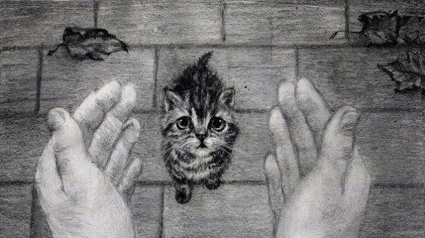 Рисунок бездомного животного