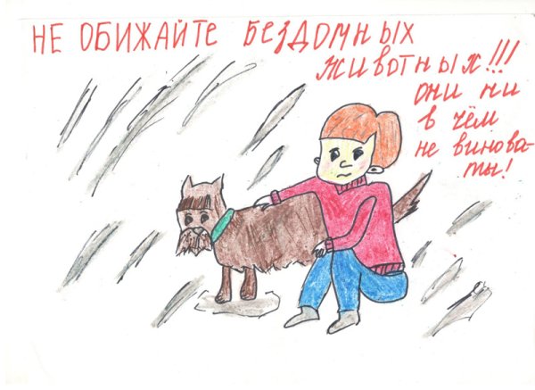 Линда группа помощи бездомным животным Оренбург