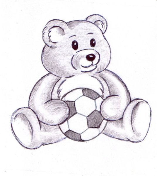 Мишка рисунок карандашом