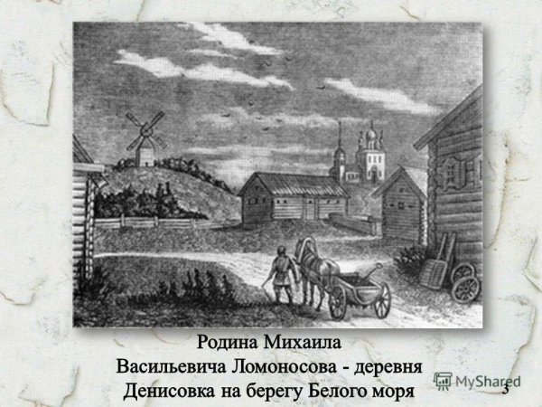 Ломоносов Михаил Васильевич Родина