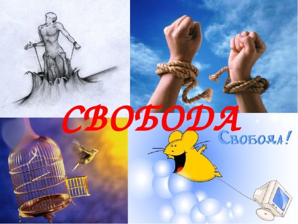 Свобода тема по обществознанию