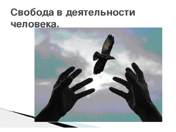 Свобода деятельности