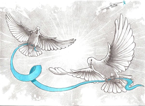 Голубь рисунок