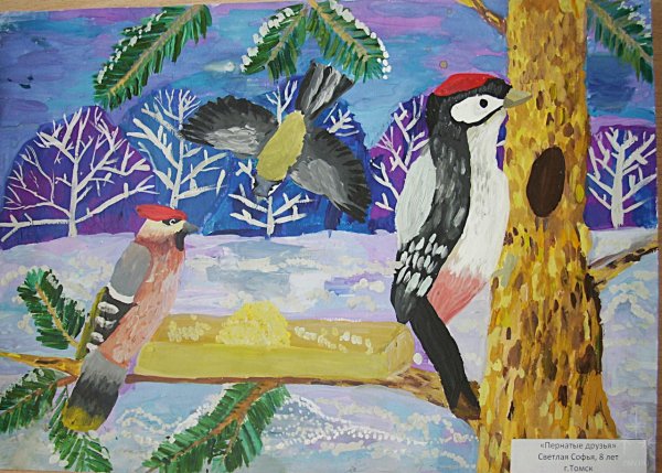 Конкурс рисунков наши пернатые друзья