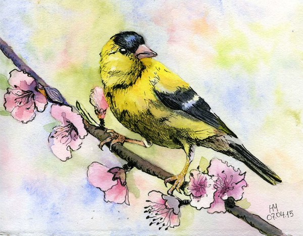 Рисование весенних птиц