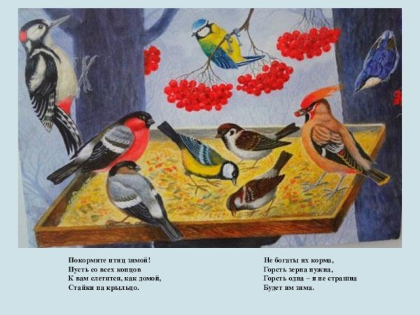 Рисование зимующие птицы подготовительная группа