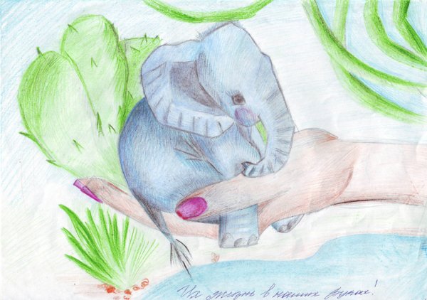 Рисунок на тему охрана животных