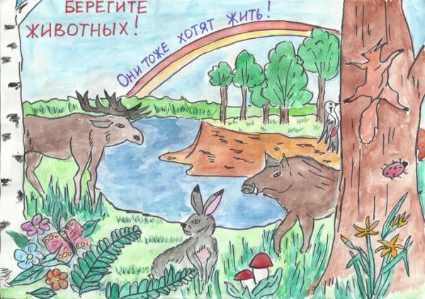 Плакаты берегитетживотных