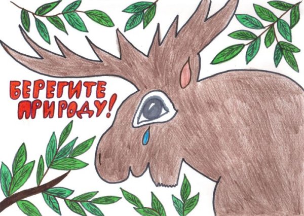 Плакат берегите животных