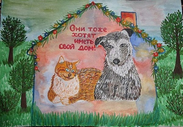 Берегите животных