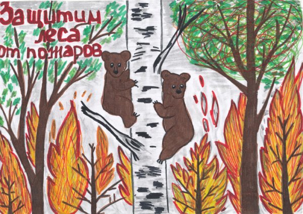 Защита животных раскраска