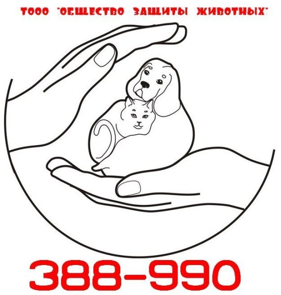 Плакаты в защиту Байкала