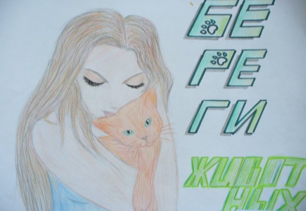 Рисунки забота оживлтных