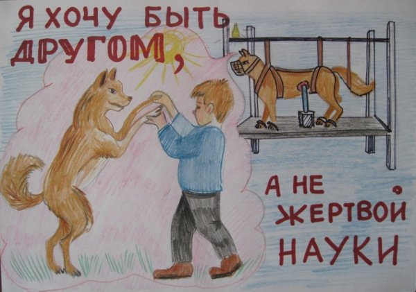 Защита природы 3 класс