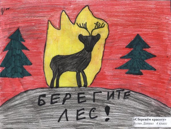 Экология защита животных