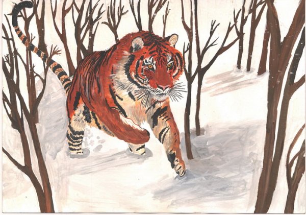 Рисунки редких животных