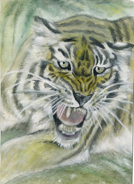 Рисунки композиции на тему тигр