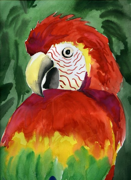 Рисунки на свободную тему красками