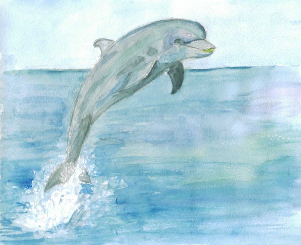 Рисование на свободную тему