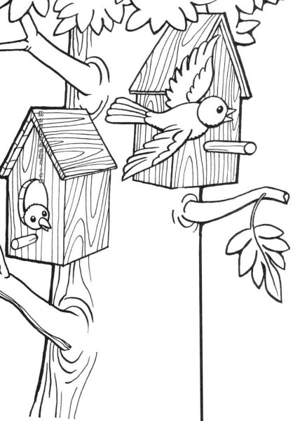 Скворечник раскраска для детей