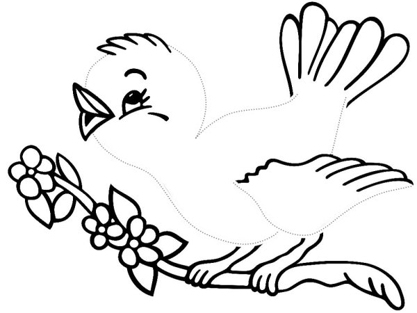 Птицы раскраска для детей