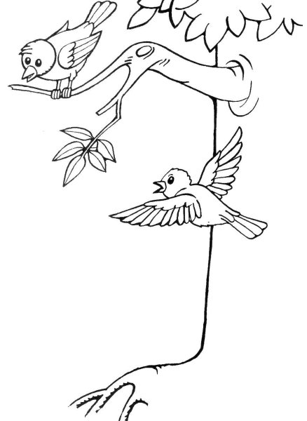 Птичка на ветке раскраска