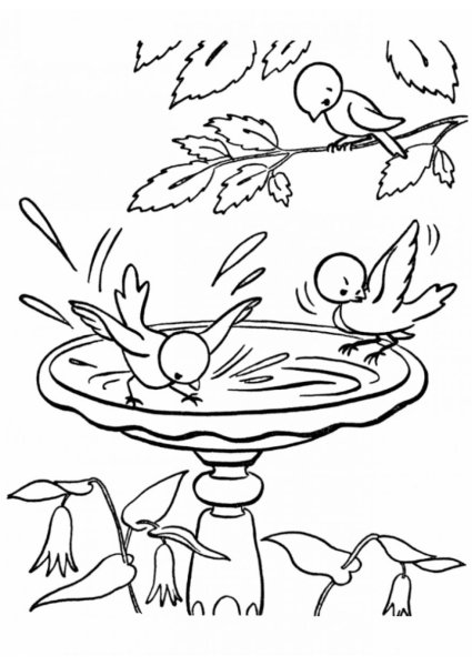 Весенние птицы раскраска