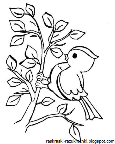 Раскраска птицы прилетели