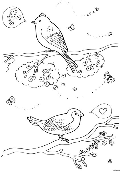 Весна птицы раскраски для детей