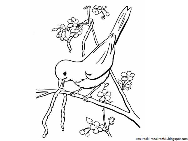 Рисунок ко Дню птиц