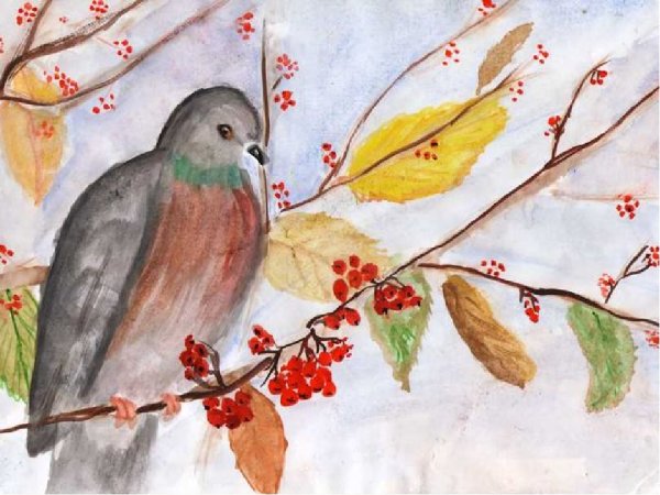 Птицы. Детская раскраска