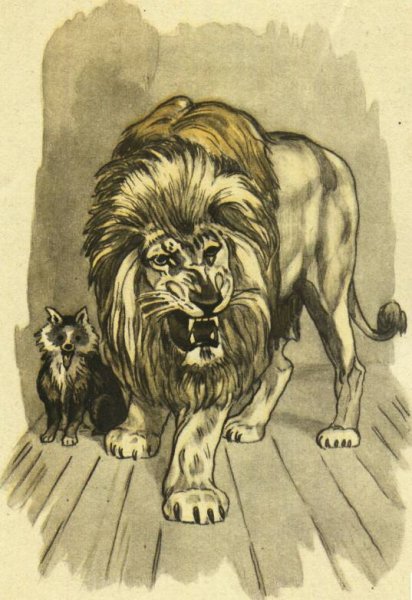 Лев и собачка раскраска для детей