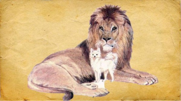 Л толстой Лев и собачка картинки