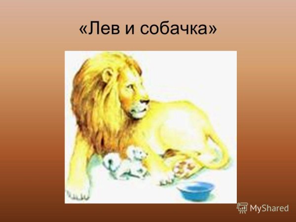 Лев и собачка толстой