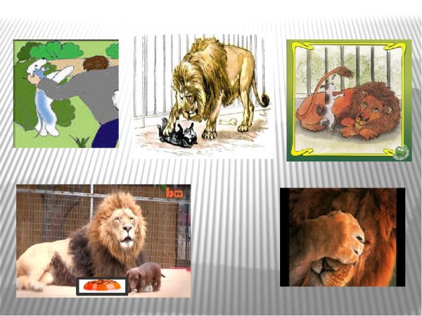 Лев и собачка читать полностью