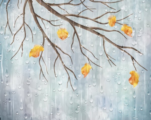 Осень дождь