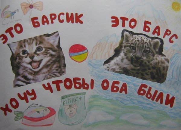 Плакат берегите животных