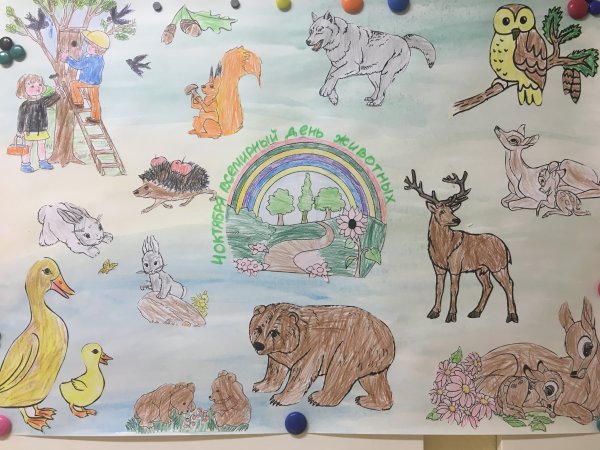 Берегите животных