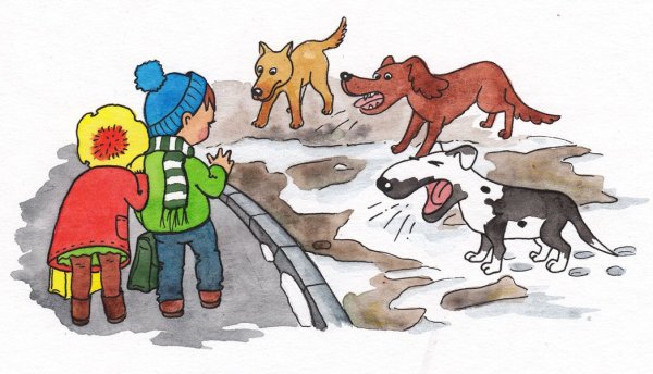 Осторожно бездомные собаки