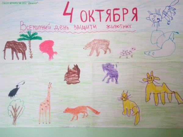 Берегите животных