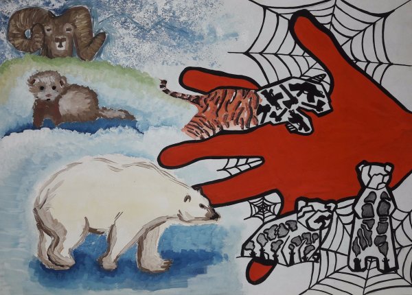 Конкурс берегите животных