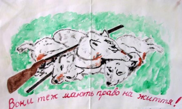 Детский рисунок на тему экология браконьерство