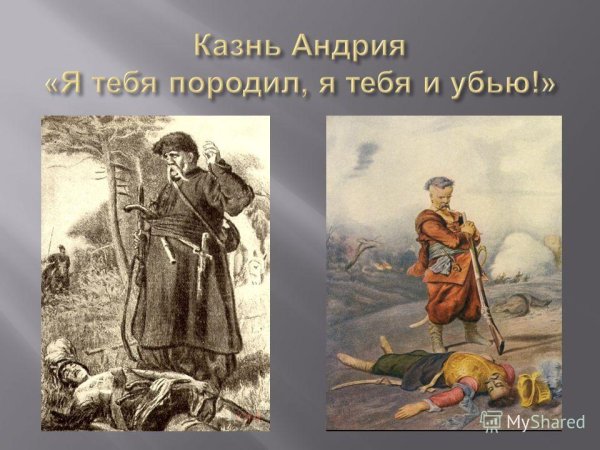 Гоголь Тарас Бульба портрет героя Тараса