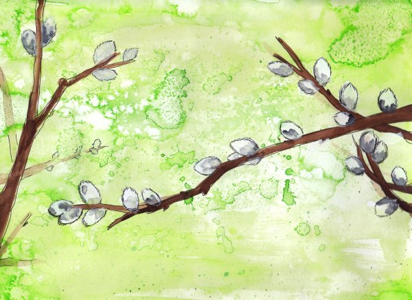 Весенний дождь рисунок