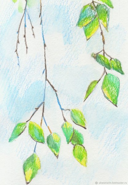 Рисование весенней веточки