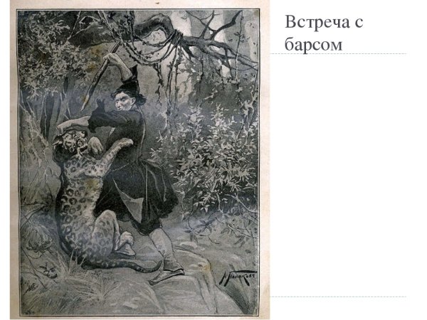 Иллюстрация к произведению Мцыри Лермонтова