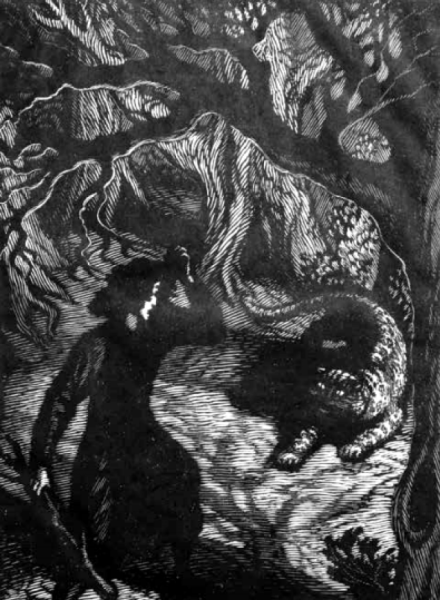 Иллюстрации к Мцыри Лермонтова