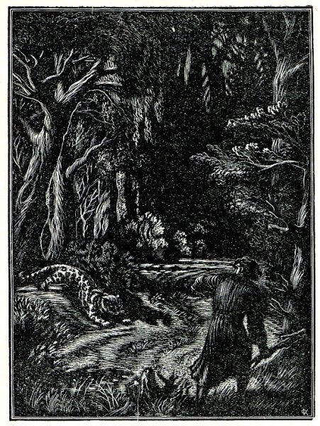 Тоидзе Мцыри